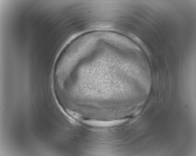 X0000068891432200605192123