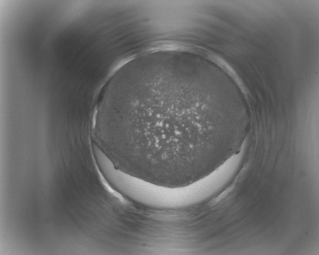 X0000068891433200605192123