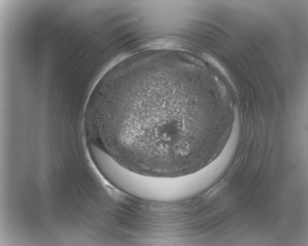 X0000068891434200605192123