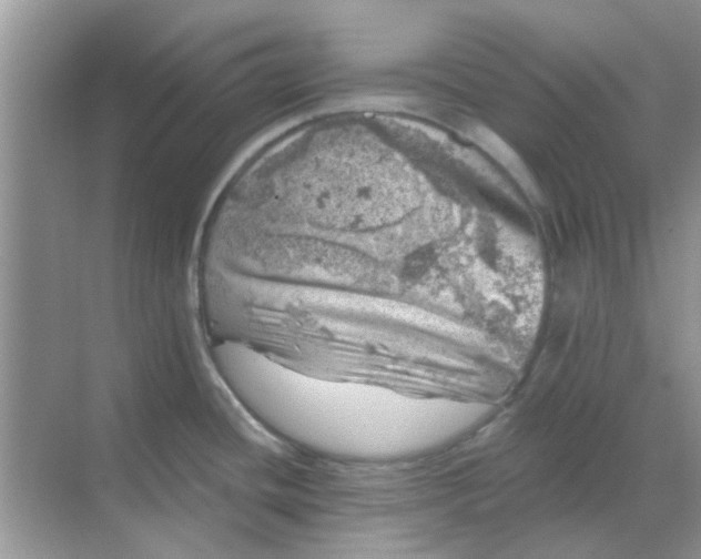 X0000068891436200605192123