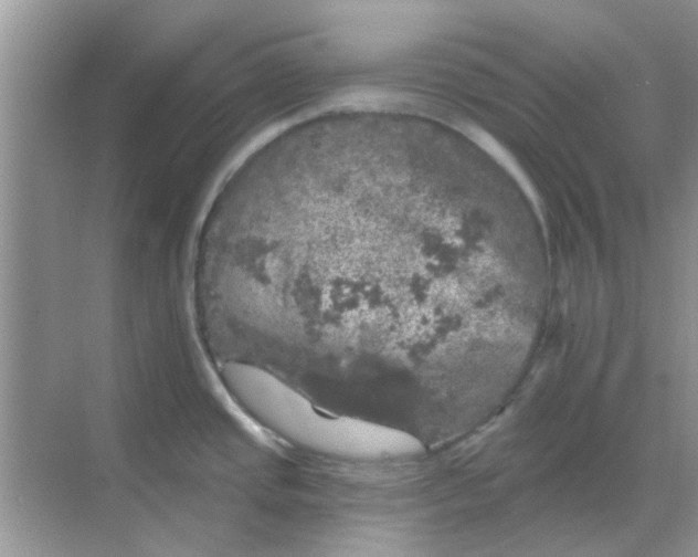 X0000068891437200605192123