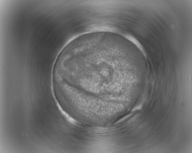 X0000068891439200605192123