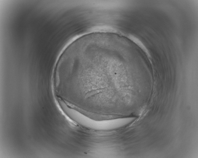 X0000068891440200605192123