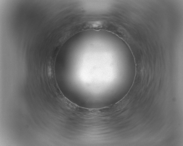 X0000068891442200605192123