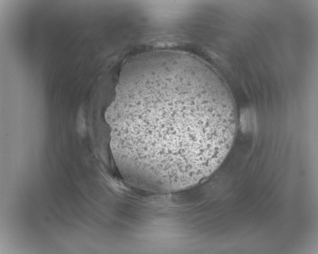 X0000068891444200605192123