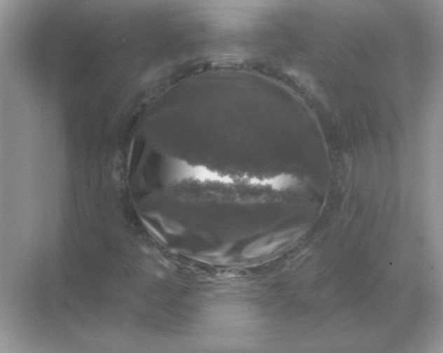 X0000068891445200605192123