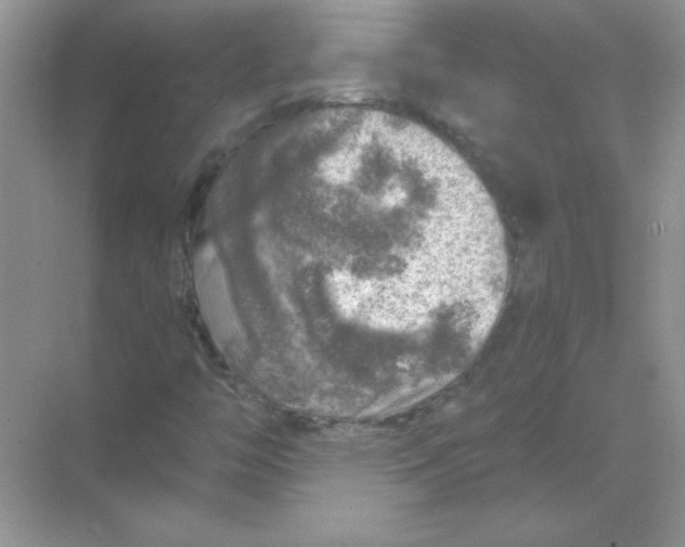 X0000068891446200605192123