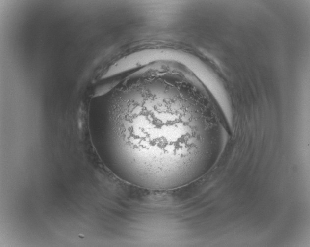 X0000068891447200605192122