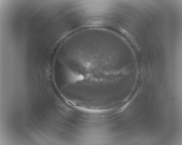 X0000068891449200605192122