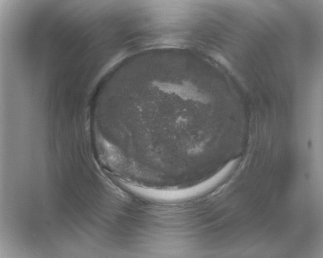 X0000068891450200605192122