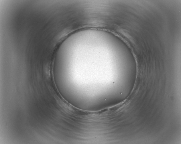 X0000068891451200605192122