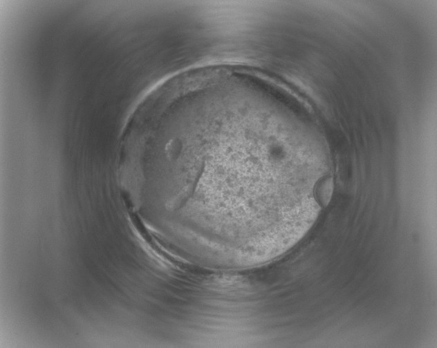 X0000068891452200605192122