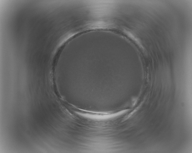 X0000068891453200605192122