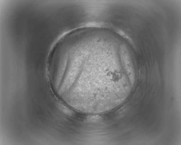 X0000068891454200605192122