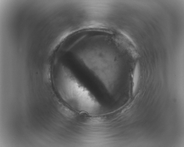 X0000068891455200605192122