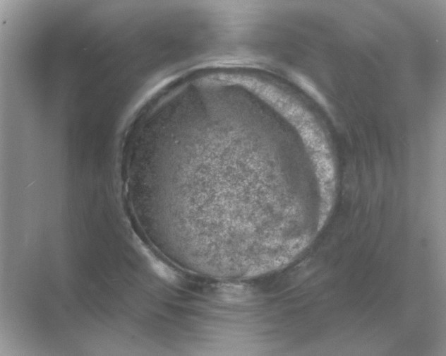 X0000068891456200605192122