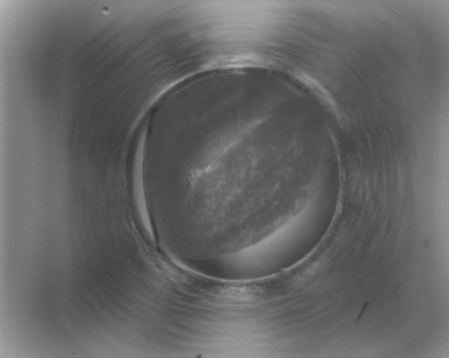 X0000068891457200605192122