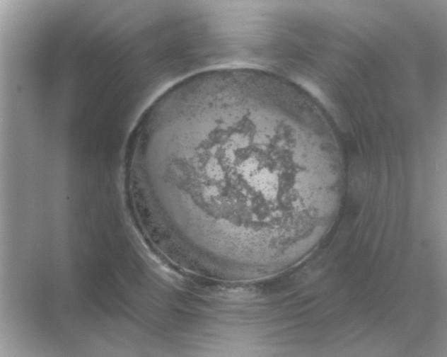 X0000068891460200605192122