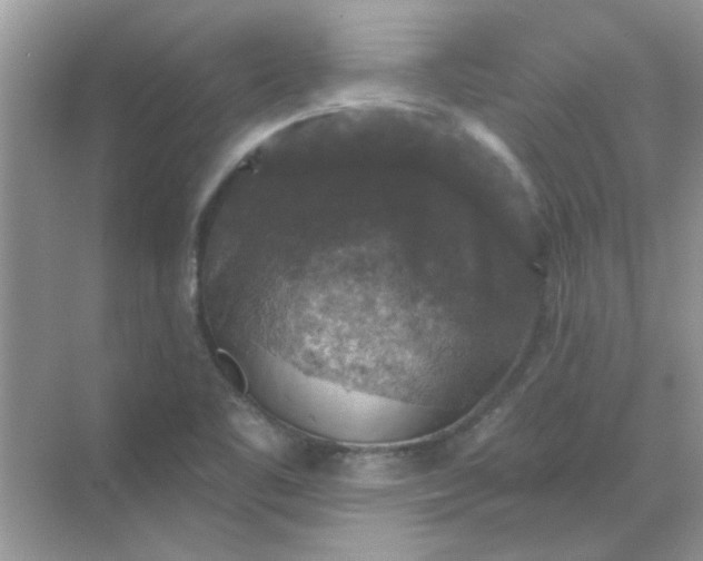 X0000068891461200605192122