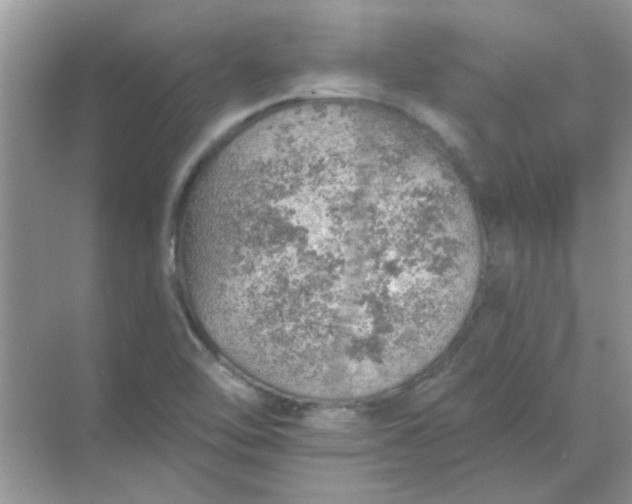 X0000068891462200605192122