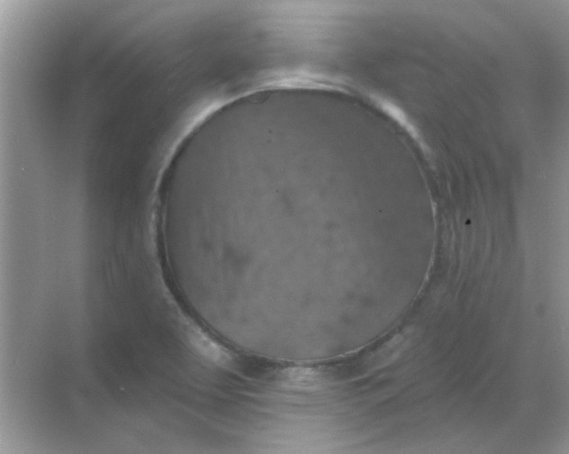 X0000068891463200605192122