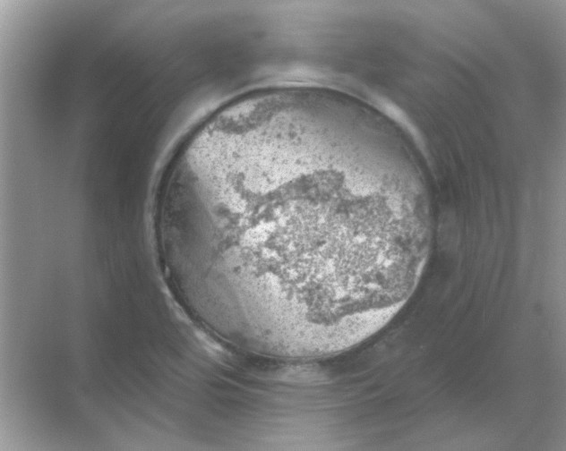 X0000068891464200605192122