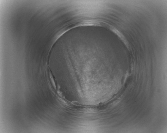 X0000068891465200605192122