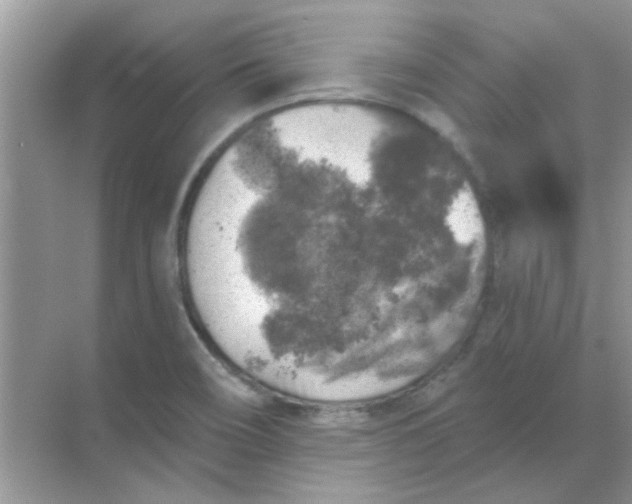 X0000068891466200605192122