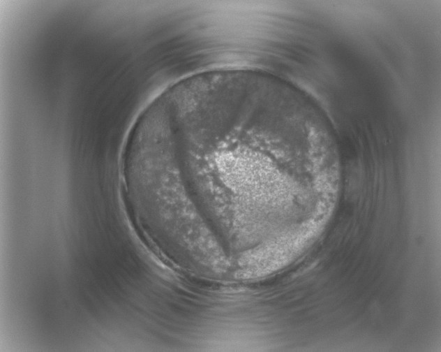 X0000068891467200605192122