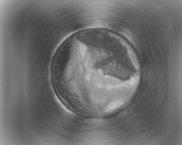 X0000068891468200605192122