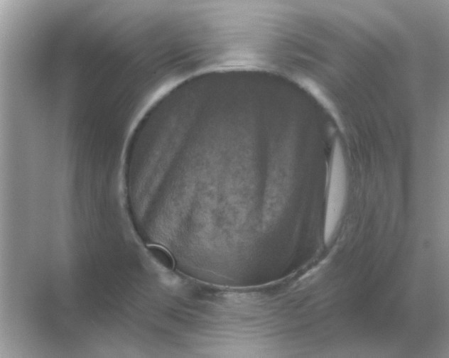 X0000068891469200605192122