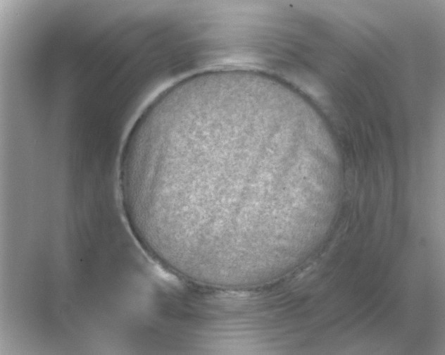 X0000068891470200605192122