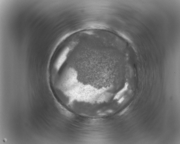 X0000068891471200605192122