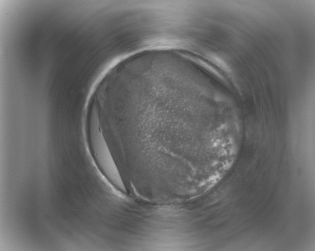 X0000068891472200605192122