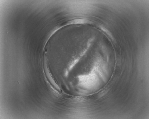 X0000068891473200605192122