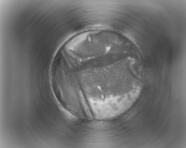 X0000068891474200605192122