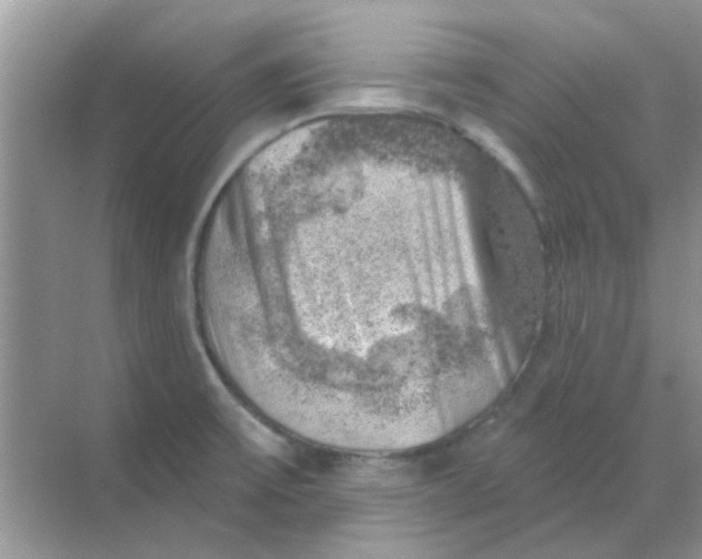 X0000068891475200605192122