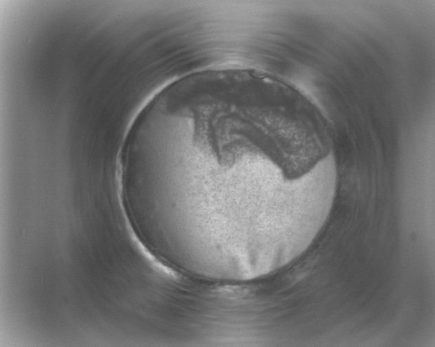 X0000068891476200605192122