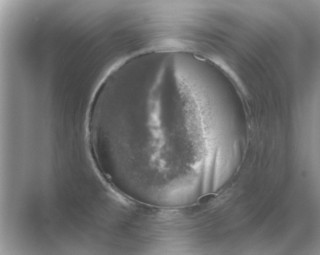 X0000068891477200605192122