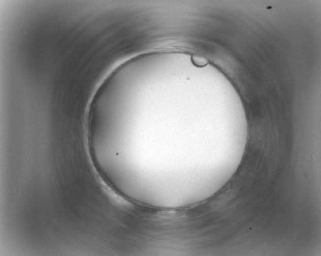 X0000068891478200605192122