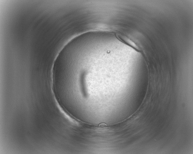 X0000068891479200605192122