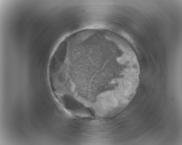 X0000068891480200605192122