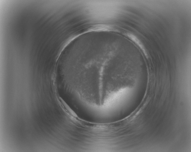 X0000068891481200605192122