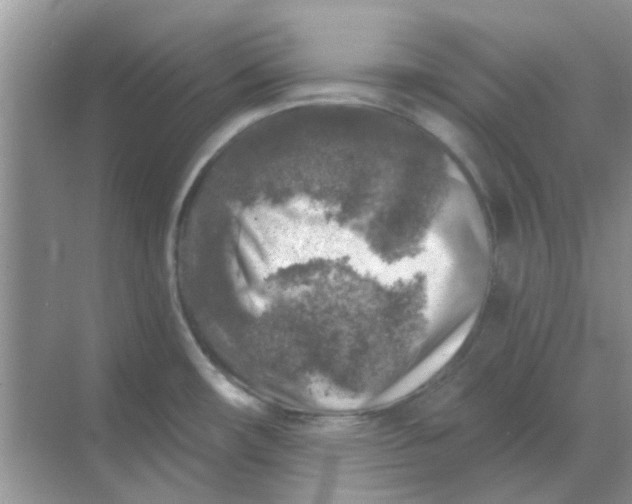 X0000068891482200605192122