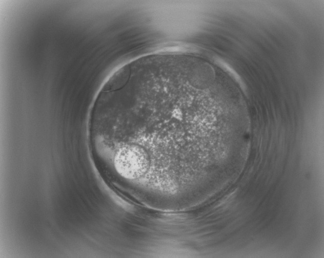 X0000068891483200605192122