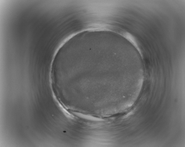 X0000068891485200605192122