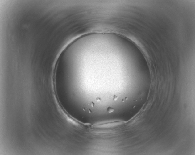 X0000068891486200605192122