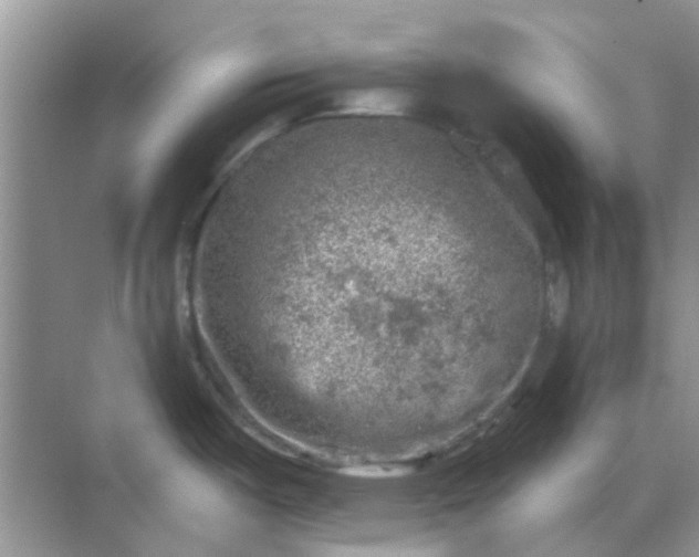 X0000068891487200605192122