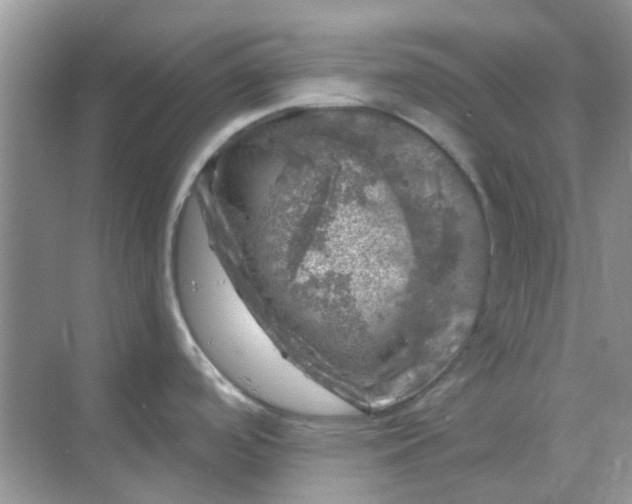 X0000068891488200605192122