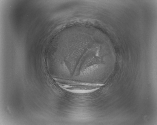 X0000068891489200605192121